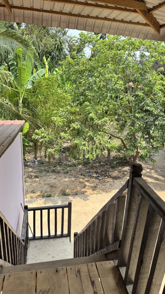 khmer house, Cambodia, stairs, jungle
